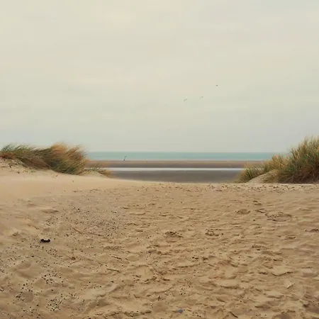 別荘 Heerlijk Vrijstaand Aan Zee アウドルプ